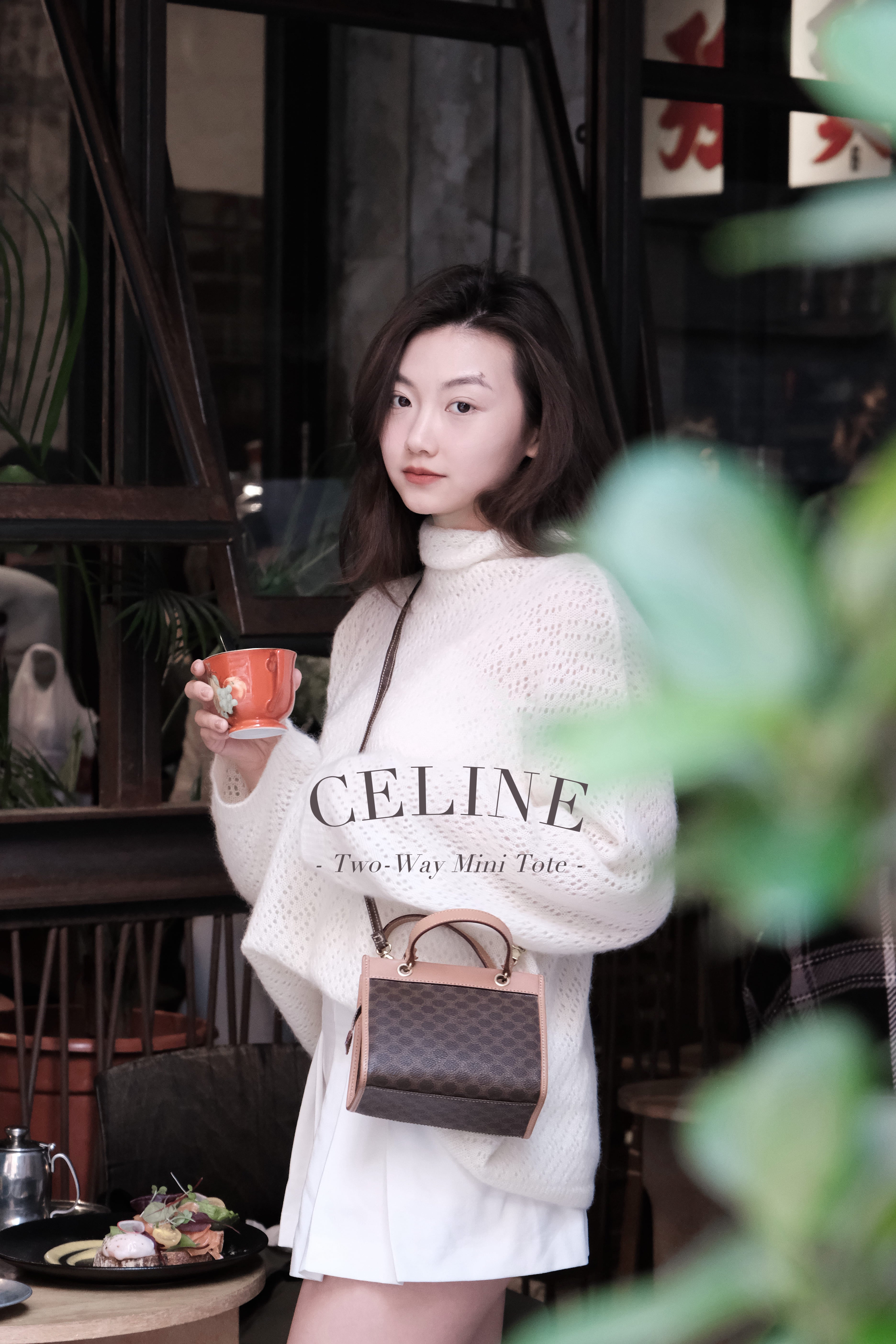 Celine Two Way Mini Tote Tote DearCrush